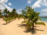 Sun Bay - VIEQUES
